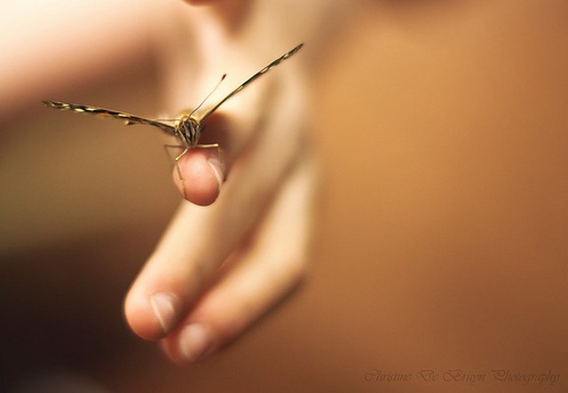 ddos在线压力测试平台